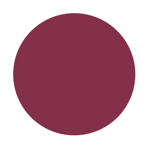 Matte Liquid Lipstick